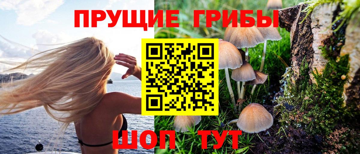 Зеленокумск  Псилоцибиновые грибы прущие грибы  Вход с VPN 