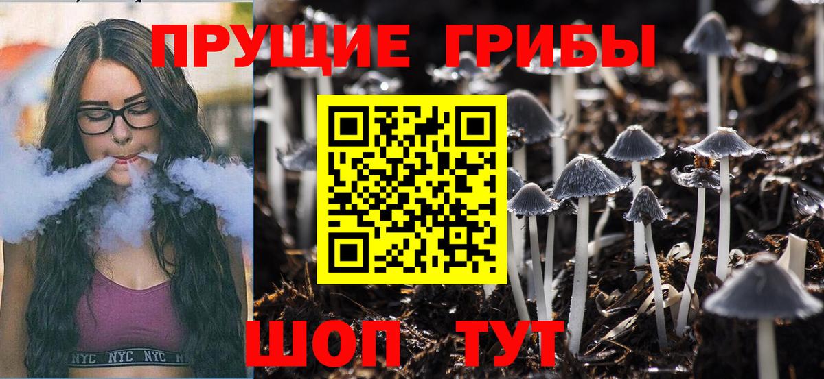 Псилоцибиновые грибы Psilocybine cubensis Зеленокумск