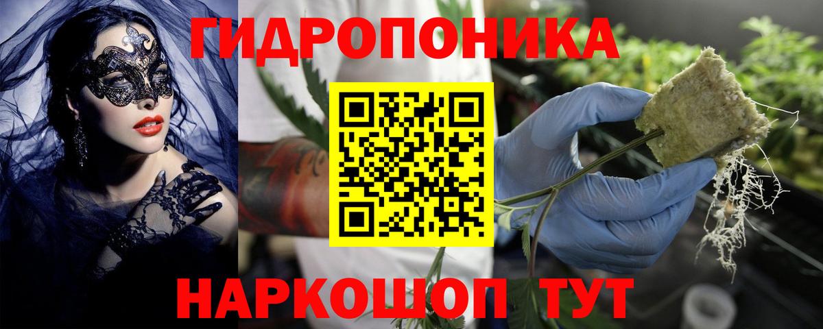 Канабис OG Kush Зеленокумск